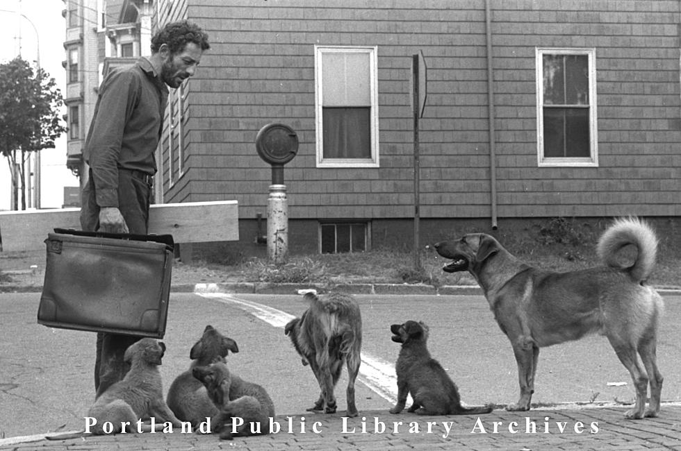 Who Remembers the Infamous Dog Man of Portland, Maine?