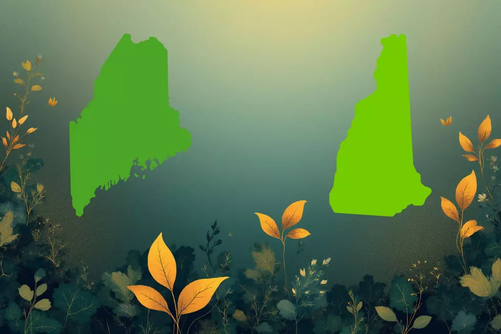 Two States, One Border: How Maine and New Hampshire Feel Worlds Apart