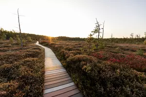 Maine’s Most Magical Places: How Many Have You Visited?