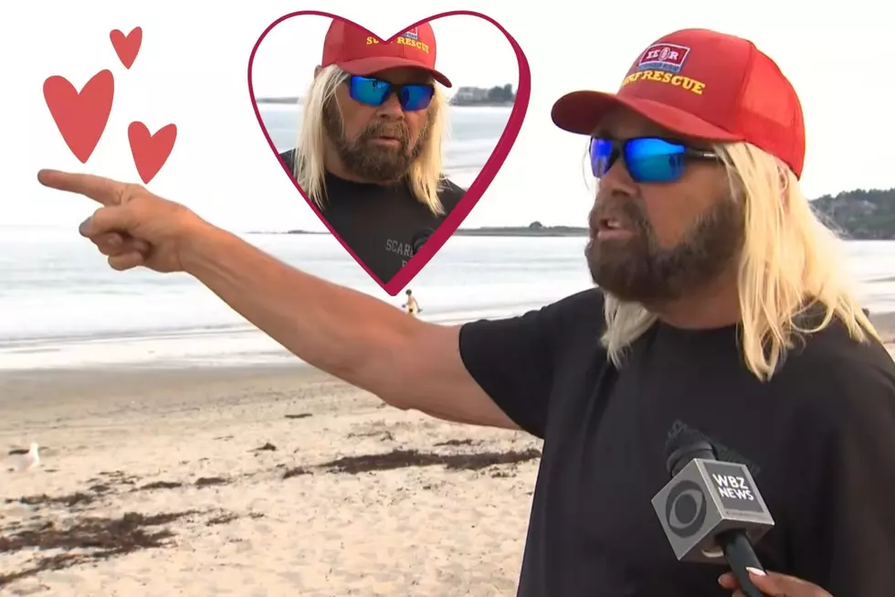 Maine's Shark Hero Is the Internet's New Crush
