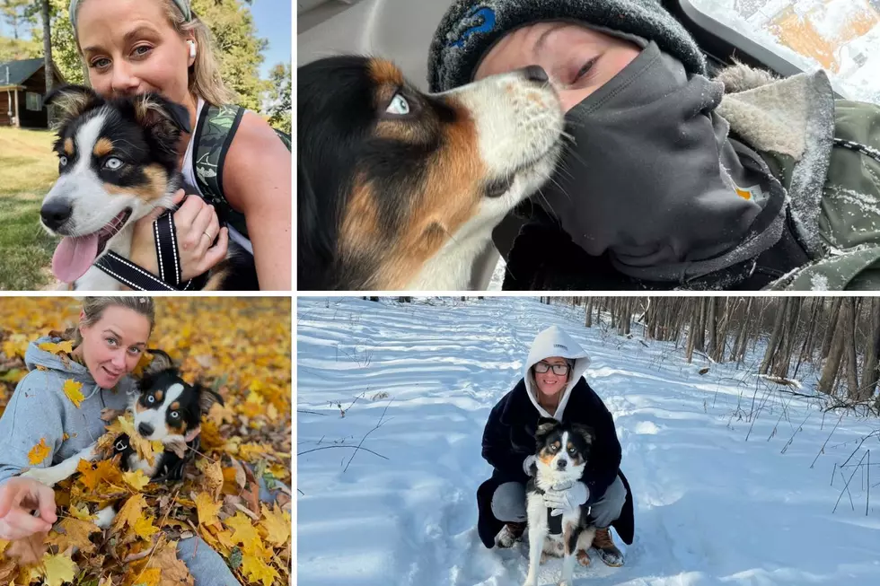 3 Ways You Know You Are a True Maine Dog Mom