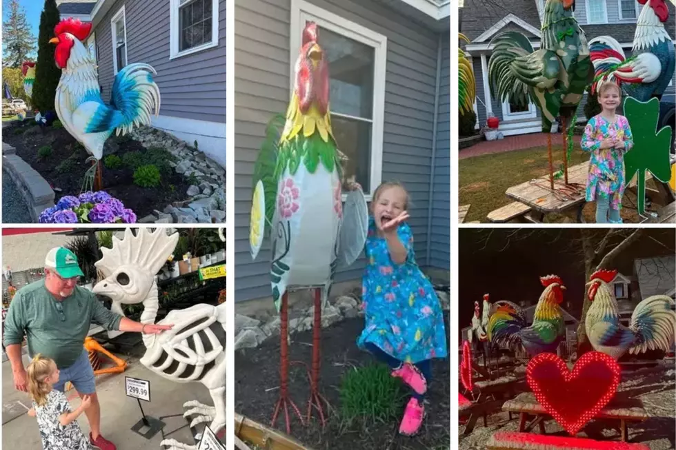 There’s an Update on Ogunquit Maine’s Famous Giant Roosters