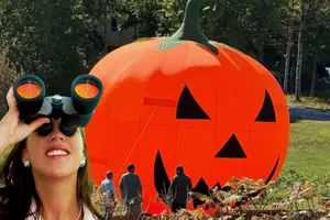 Maine, We Have a 30-Foot Pumpkin to Find