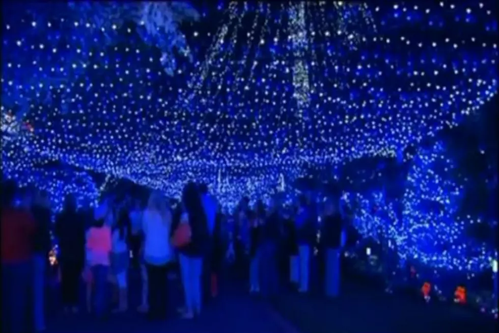 Guinness Book of World Records Christmas Lights [VIDEO]