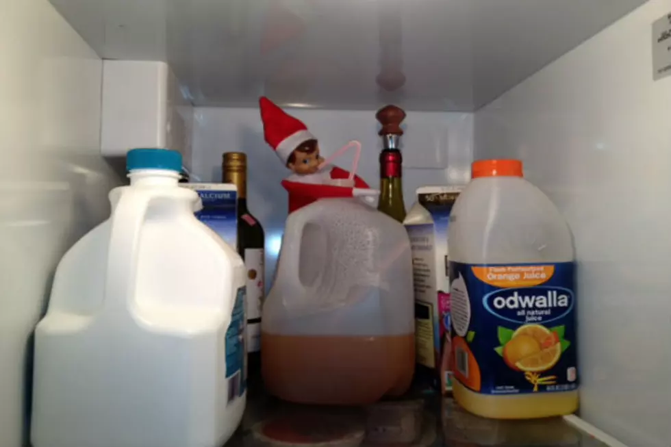 That Crazy Elf on a Shelf Was in Our Fridge?  Where Have You Caught Yours?