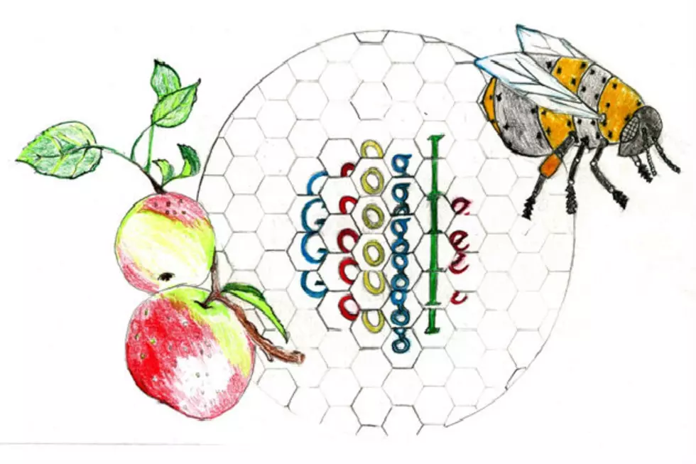Help 5th Grader Inga Zimba From Waterville With Her Doodle 4 Google!
