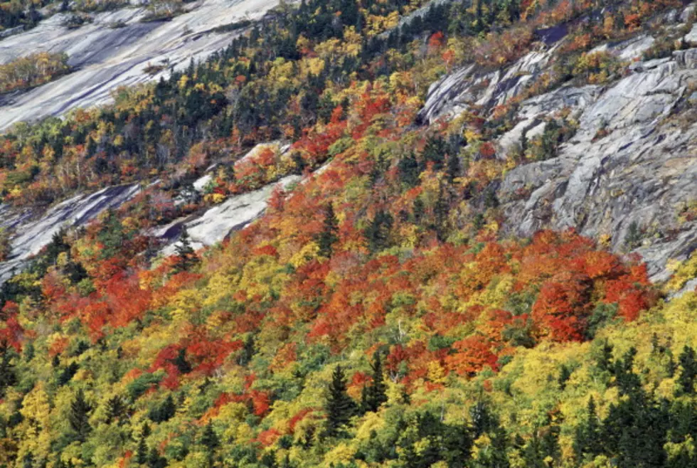 Maine&#8217;s Fall Foliage Nearing Peak [VIDEO]