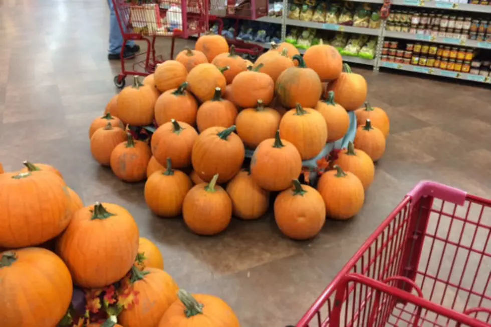 Best Pumpkin Deal