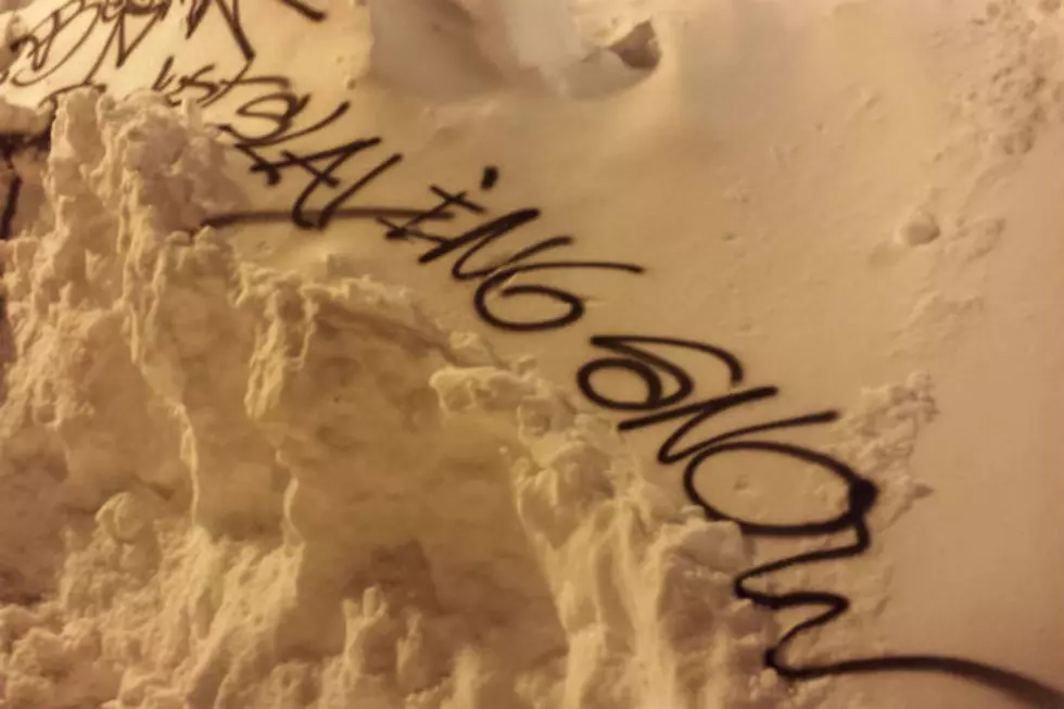 Snow Piles in Portland Get Tagged With a Weather Report [PHOTOS]
