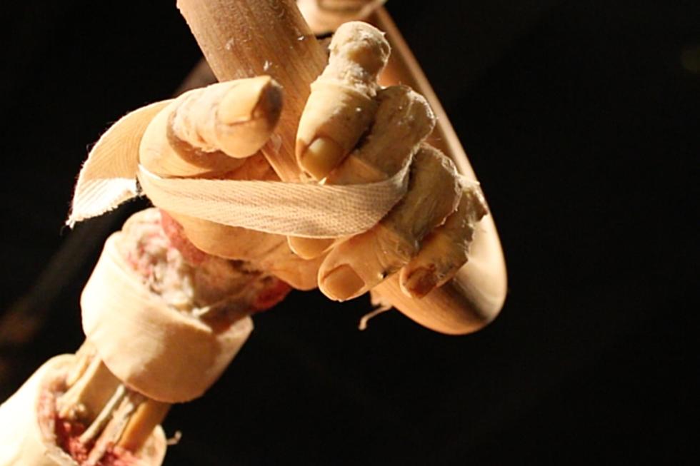 5 Most Common Questions about Body Worlds