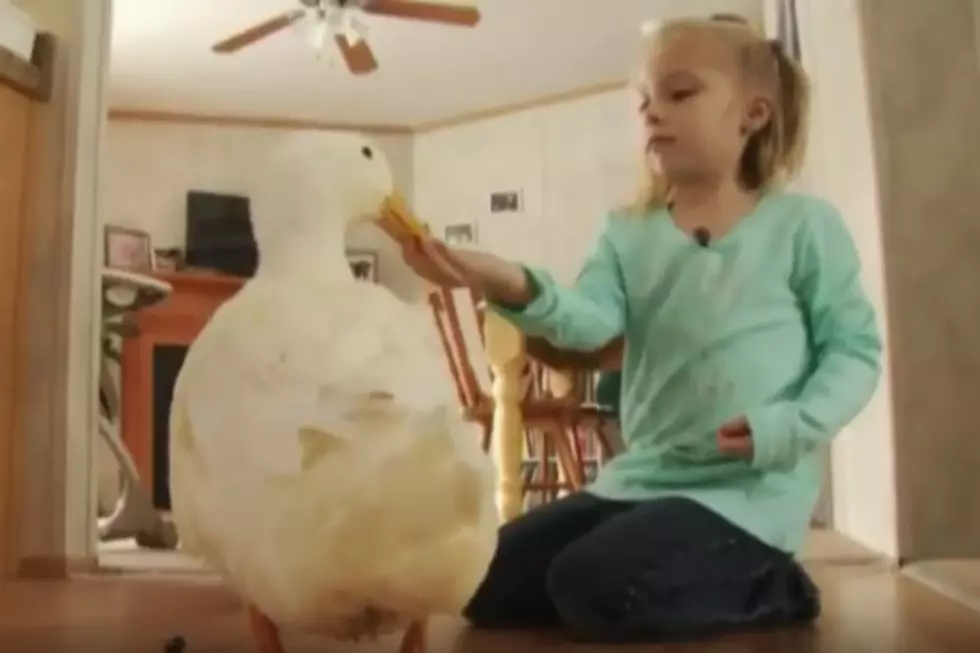 Freeport 5-Year Old&#8217;s Best Friend is a Duck. Adorable  [VIDEO]