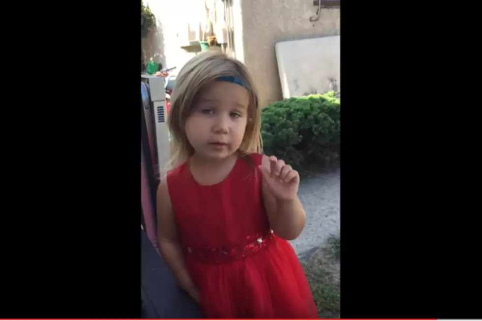 Little Girl Has Strict Rules For Weddings And It&#8217;s Adorable [VIDEO]
