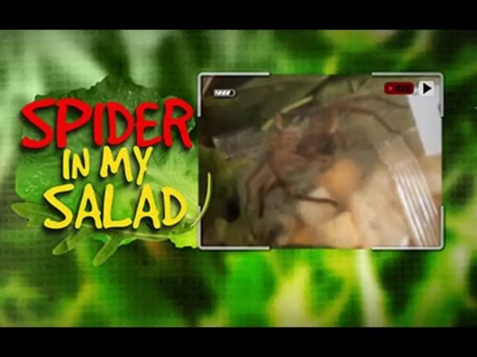Woman Finds Giant Spider In A Bag Of Salad [VIDEO]