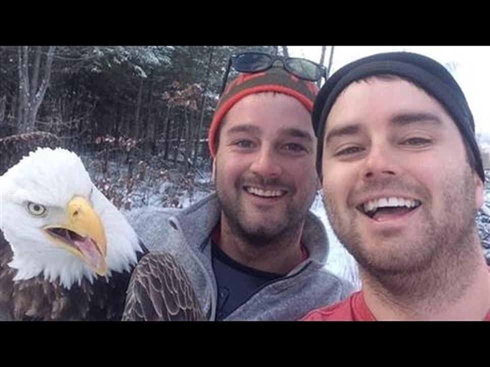 2 Dudes Save A Bald Eagle From A Hunter&#8217;s Trap And Release It But Not Before The Most Epic Selfie Ever [VIDEO]