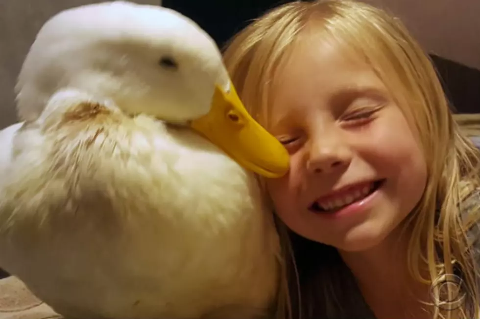 Freeport Girl and Her Duck Get a Visit From CBS Evening News [VIDEO]