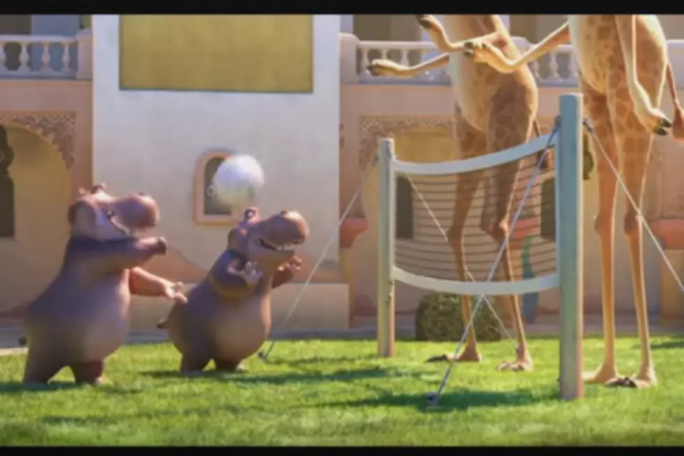 Movie Mom Say the New Disney Movie ‘Zootopia’ is Great! [VIDEO]
