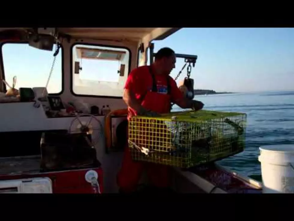 Watch How Lobsters Are Caught Aboard A Real Lobster Boat [VIDEO]