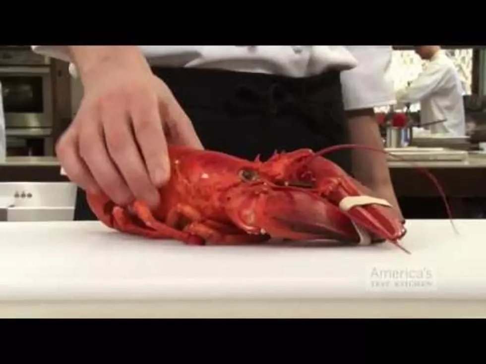 Show Your Out Of State Friends How To Eat Lobster [VIDEO]