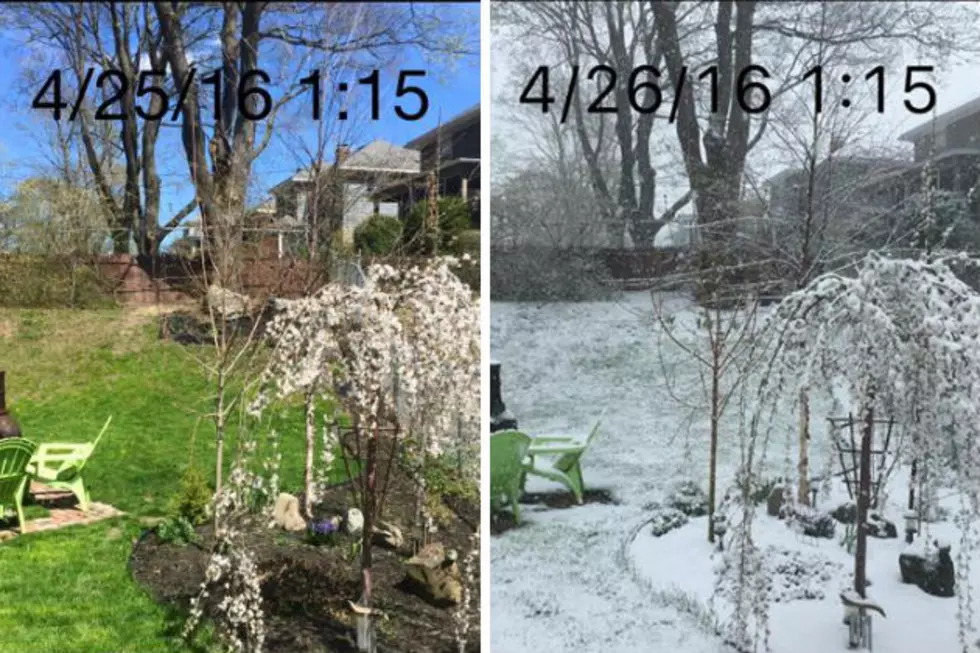 Snow in Late April?  These Photos Show How Quickly The Weather Changes in Maine [PHOTOS]