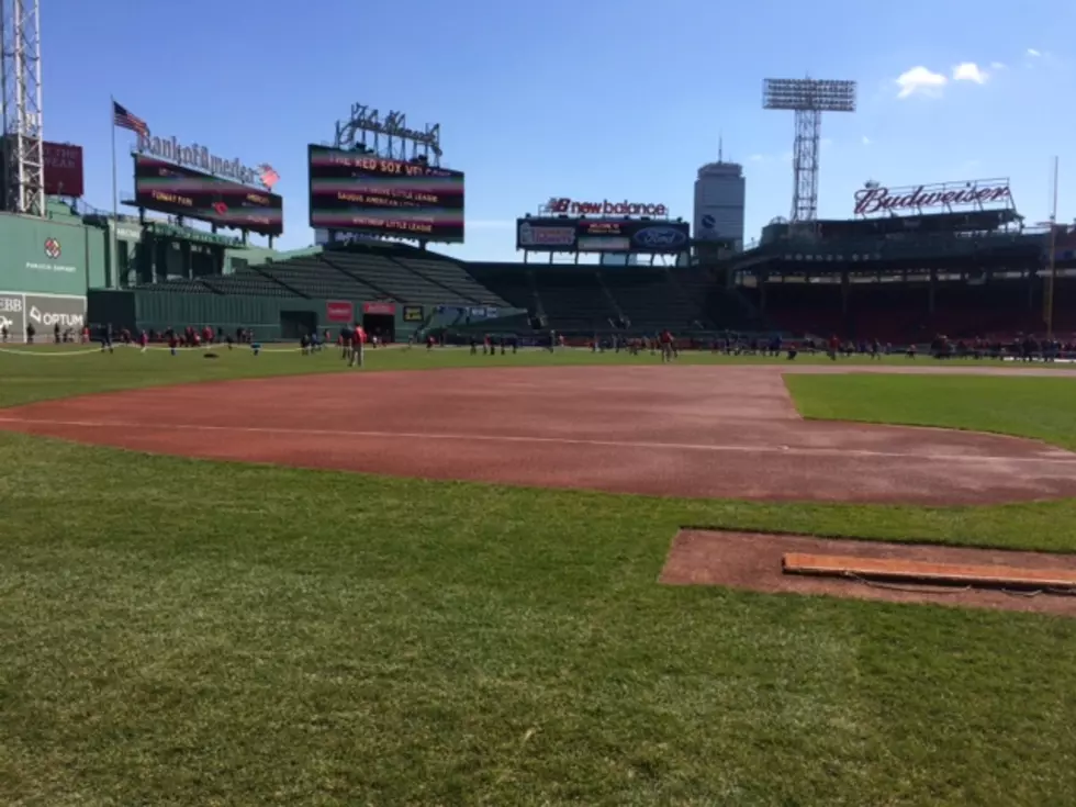 WATCH: Wedding Proposal at Fenway Park Did Not Turn Out How This Guy Planned
