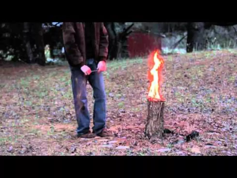 Learn How To Start The Perfect Camp Fire [VIDEO]