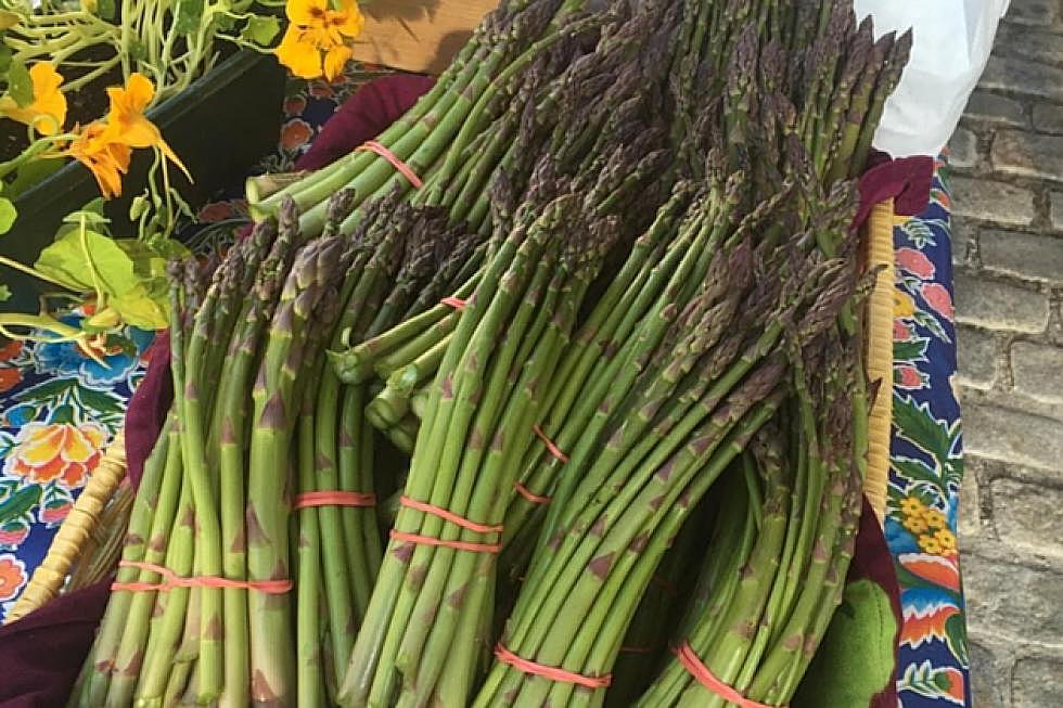 These Photos of the Portland Maine Farmers&#8217; Market Will Make You Give Up the Produce Aisle