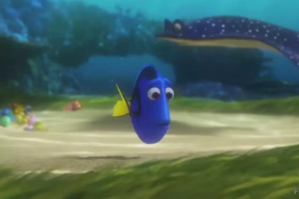 It’s Here! ‘Finding Dory’ and It’s Spectacular!  [VIDEO]