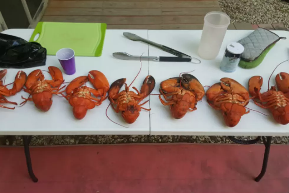 Can You Tell Which of These Lobsters are Male and Which are Female?