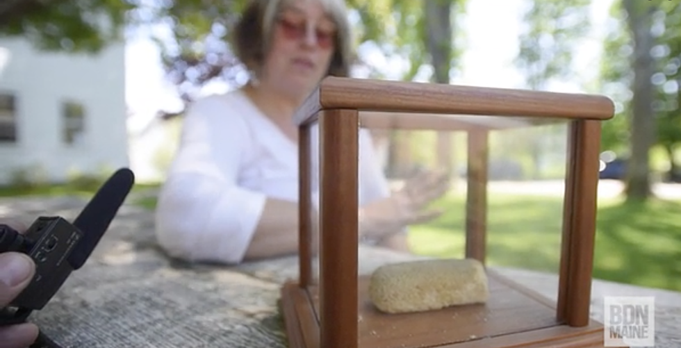 VIDEO: The Famous 40-Year-Old Maine Twinkie