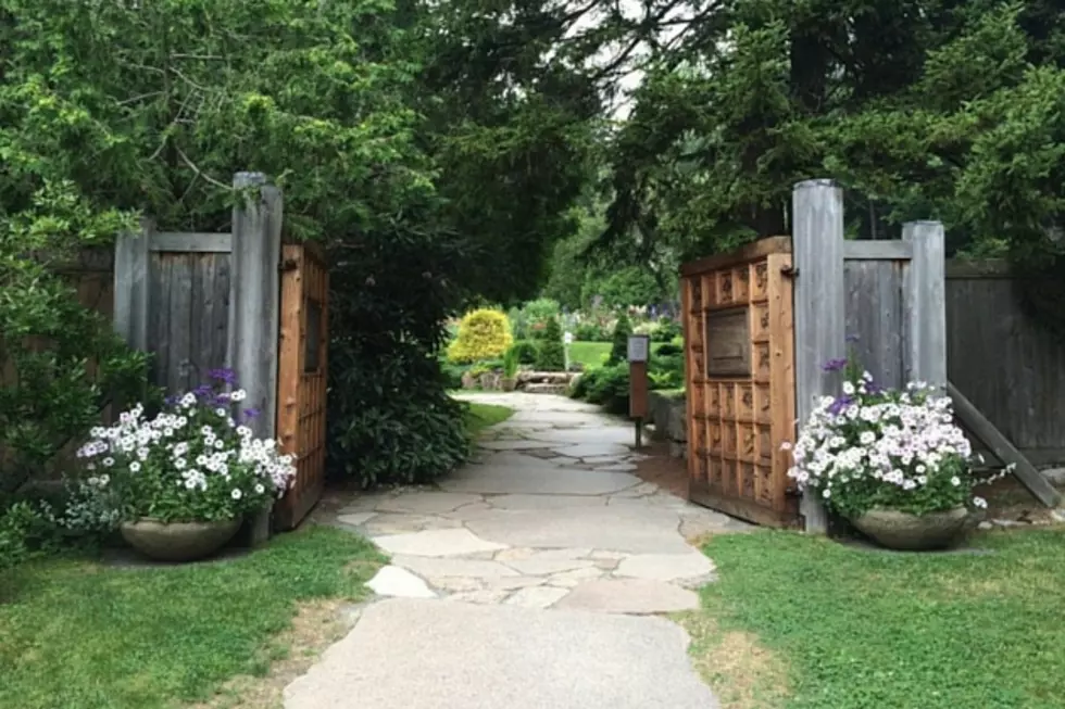 What Lies Behind These Wooden Gates in Northeast Harbor? A Breathtaking Storybook Garden