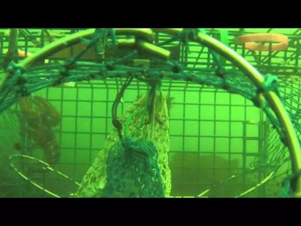 They Put A GoPro In A Lobster Trap