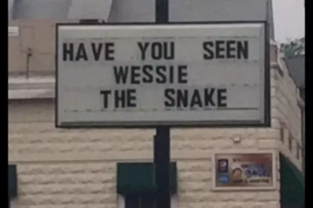 Wessie the Westbrook Snake Has His Own Song! [VIDEO]