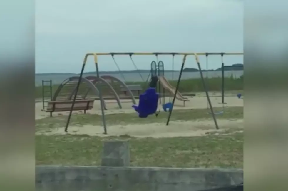 Is There a Ghost on This Swing?  *NSFW *  [VIDEO]