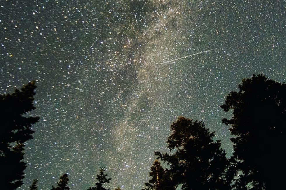 Perseids Meteor Shower 