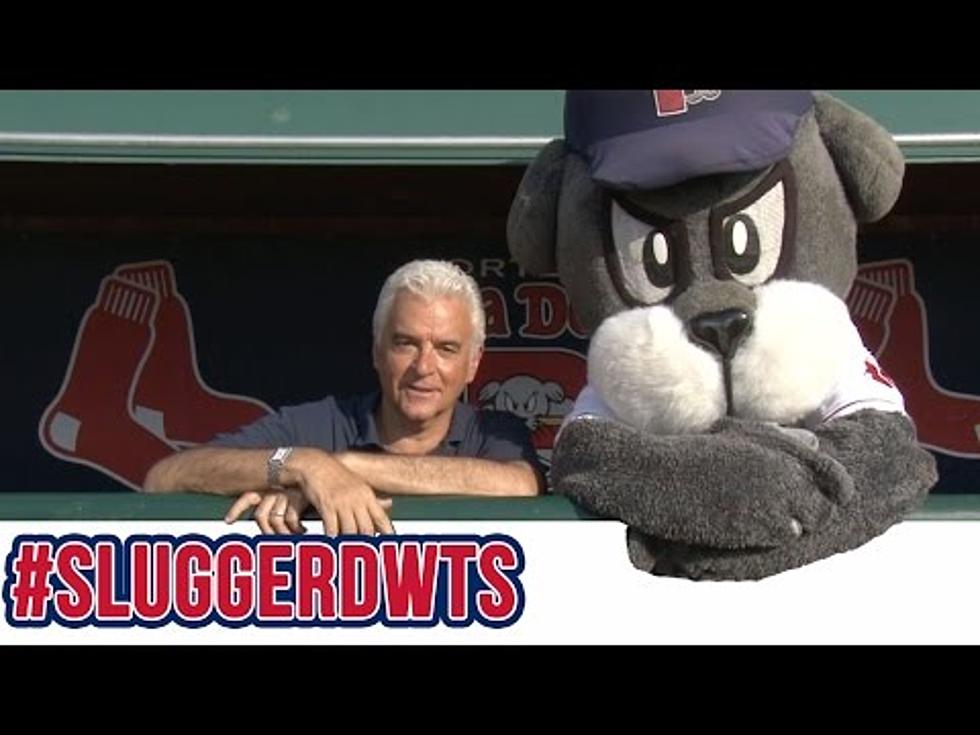Want To See Slugger the SeaDog on ‘Dancing With the Stars?’ Vote For Him!