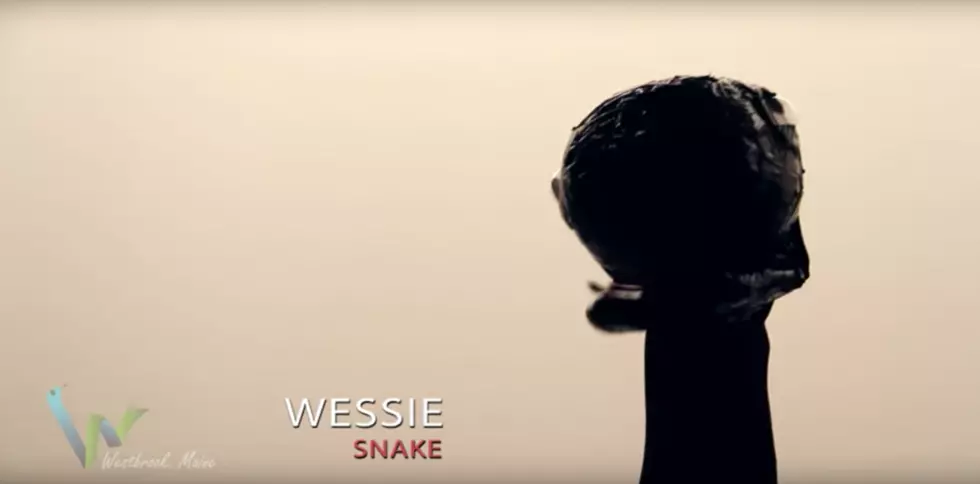 WATCH: ‘Wessie The Snake’ Finally Speaks!
