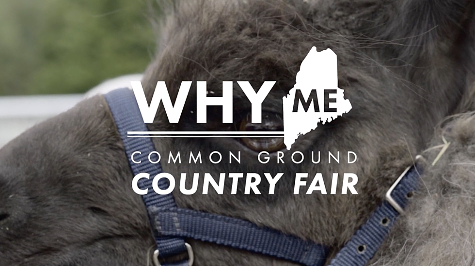 VIDEO: Unity Comes Together for the 2016 Common Ground Country Fair