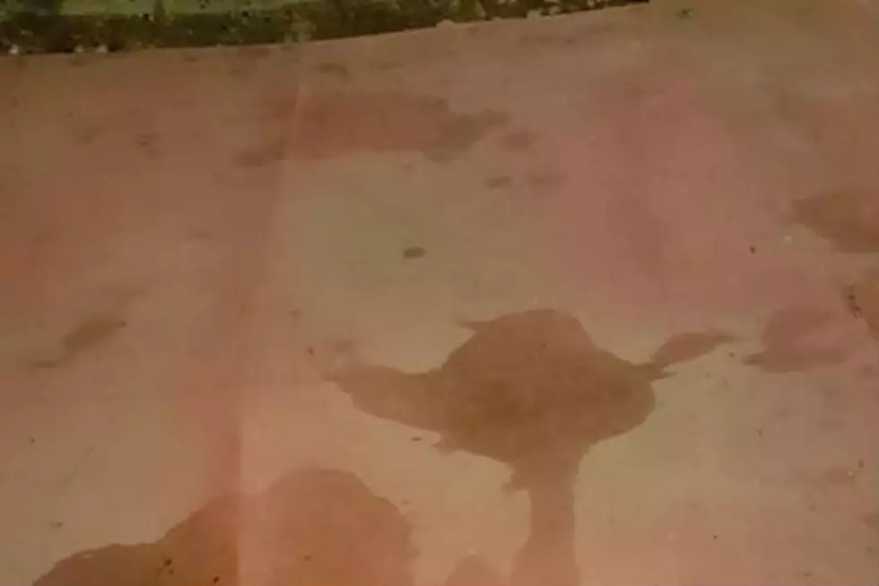 What Do You See in This Spilled Drink Pattern?