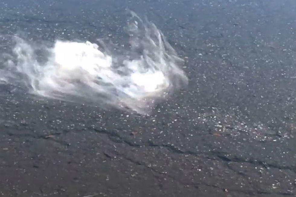 WATCH: Smoke in a Puddle of Water in Portland is Freaking People Out – What’s Causing This?