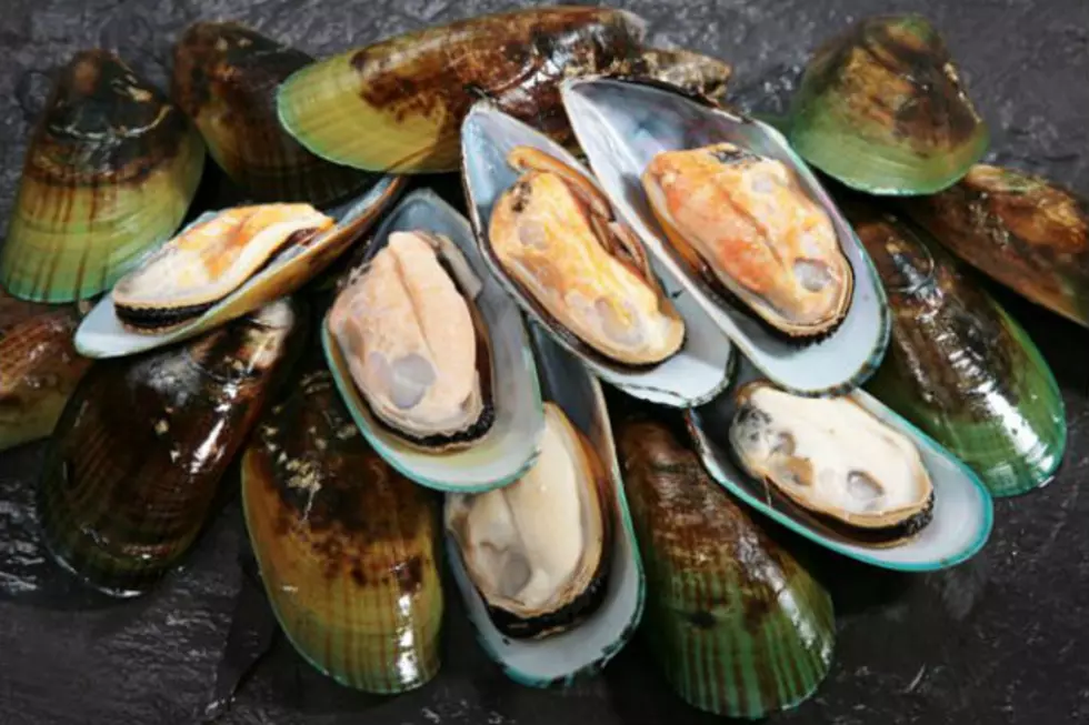 Maine Shellfish Being Recalled After Testing Positive For A Marine Neurotoxin That Causes Brain Damage