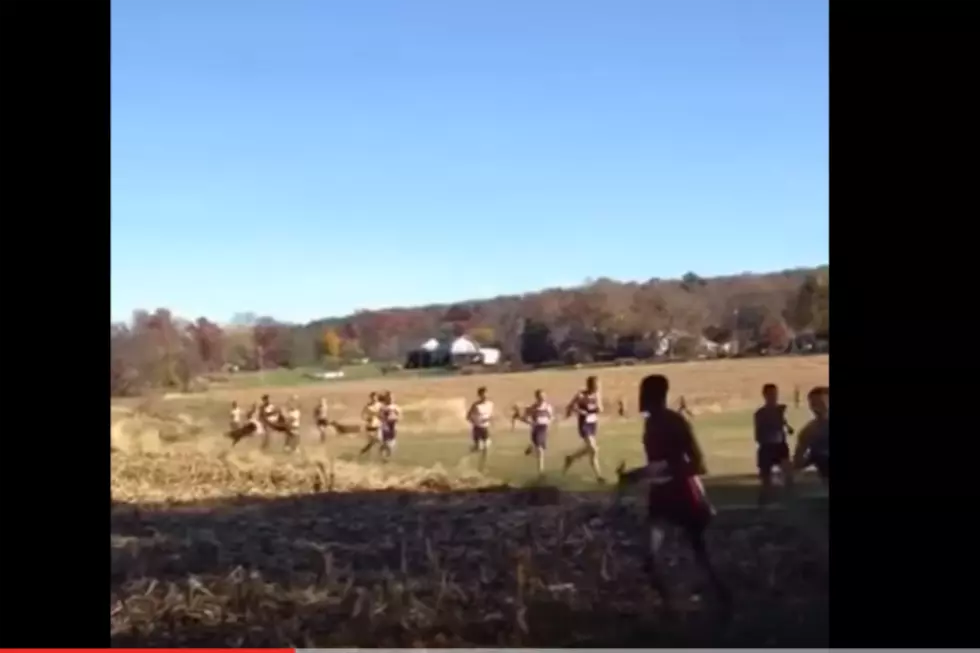 WATCH: Deer And Runner Collide [VIDEO]