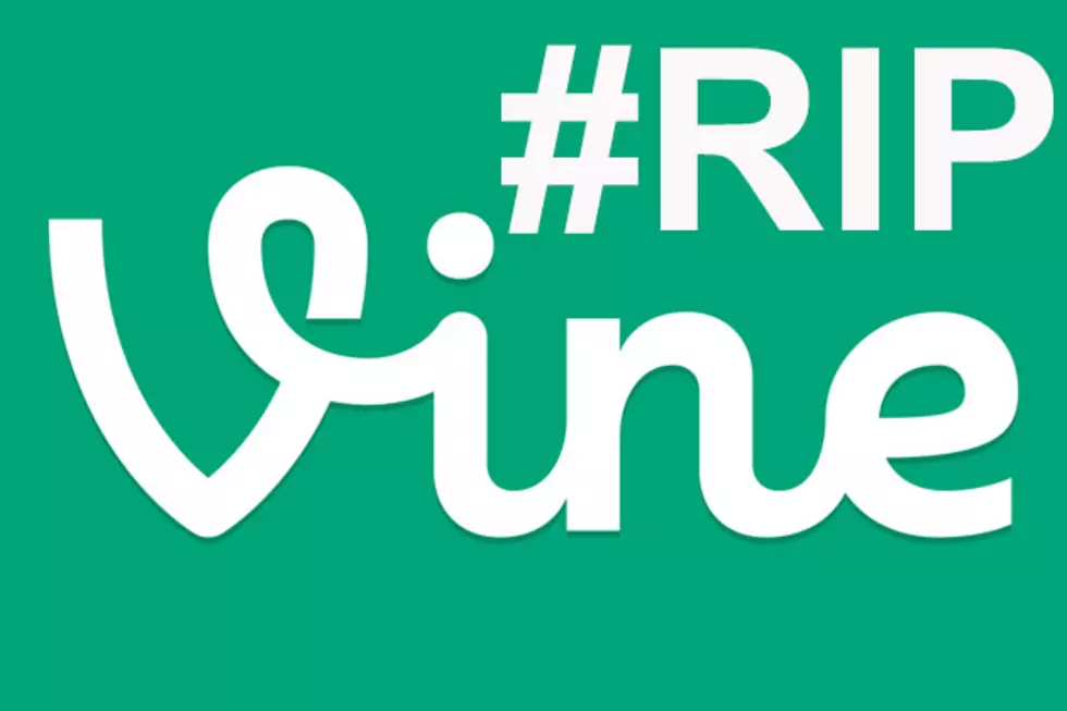 The Vine App Is Going Away, Let’s Take A Look At Some Of Maine’s Finest Vines