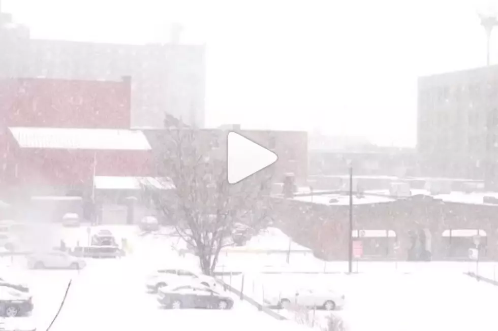 Watch The White Stuff Pile Up In These Portland Timelapse Videos