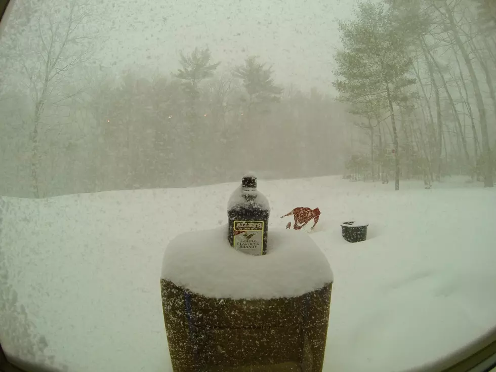 Bottle of Allen’s Coffee Flavored Brandy Gets Buried During Snowstorm in Amazing Time-Lapse Video