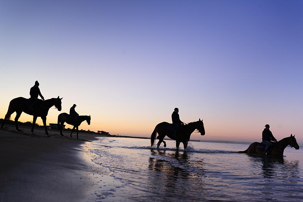 Should Horses be Allowed on Maine Beaches? Complaints About Manure Keep Rising