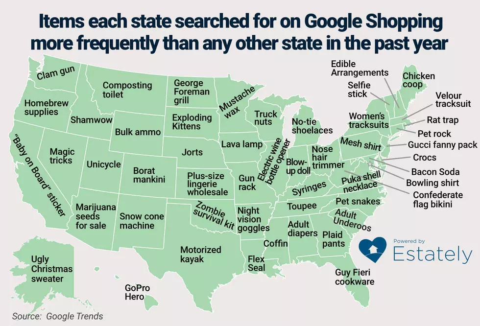 What Mainers Google While Shopping Online