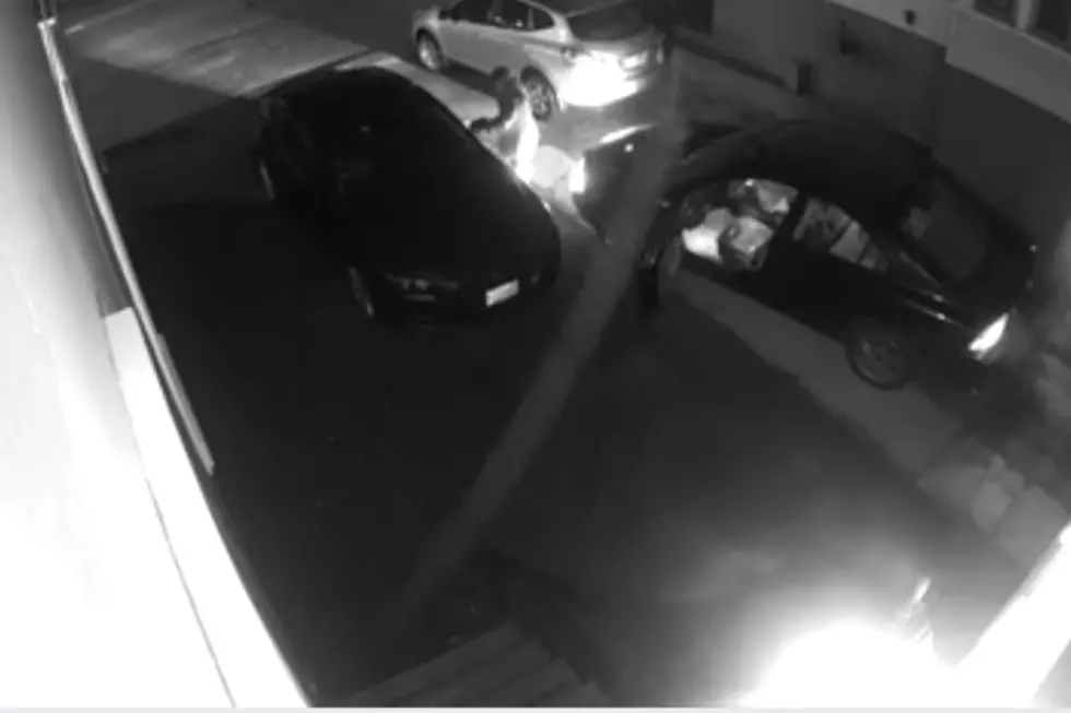 WATCH: Portland Police Looking For Woman in Hit and Run Who Thought She Could Squeeze Through These Cars