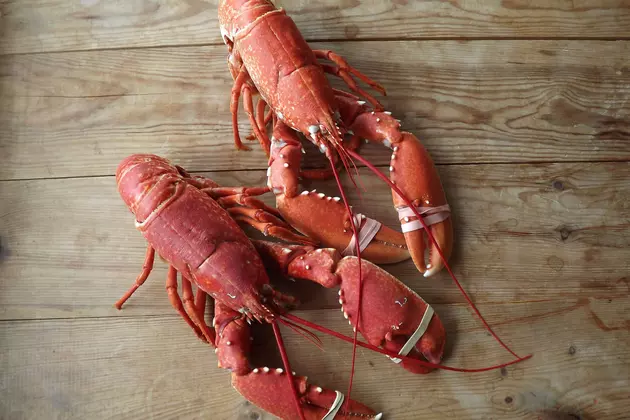 Super Disappointing News About Lobsters&#8230;