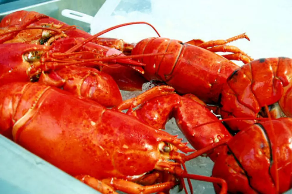 The Maine Lobster Festival Returns To Rockland For Its 70th Season