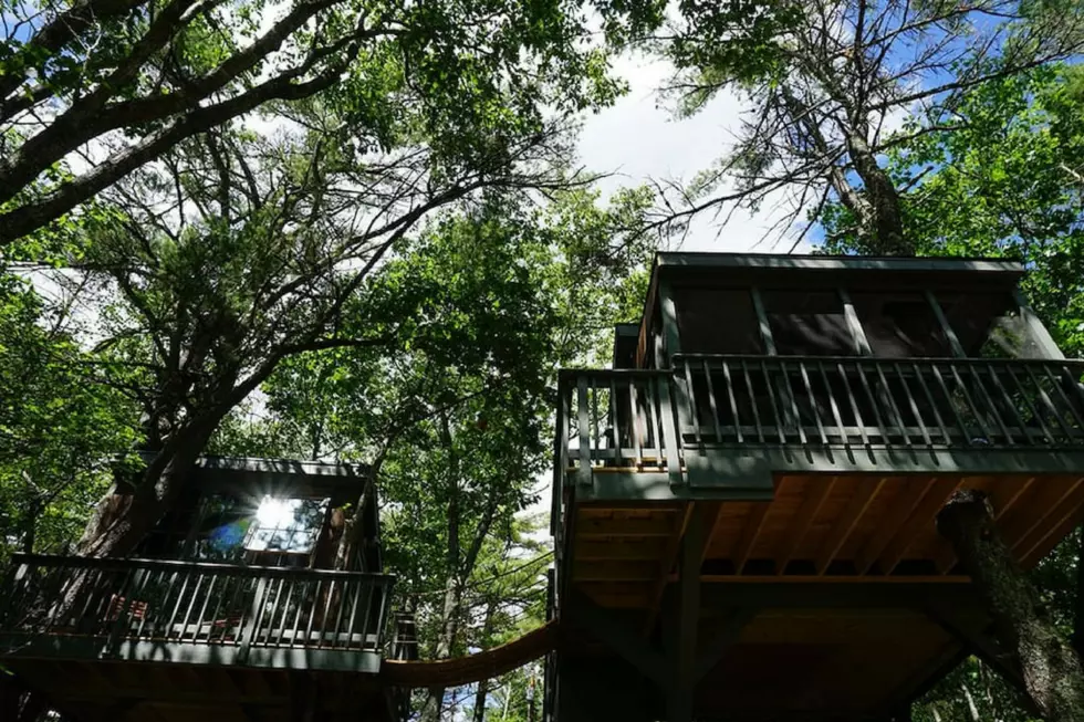 Stay in a Tree Dwelling in Georgetown, Maine for an Unforgettable Vacation Experience